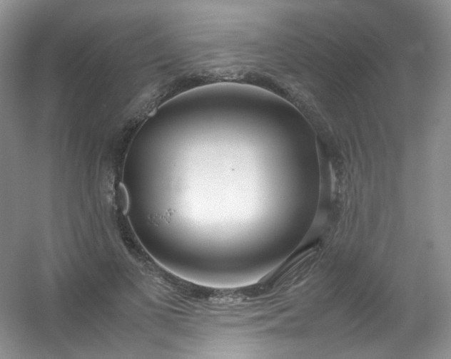 X0000054470693200508122004