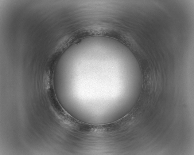 X0000054470694200508122004