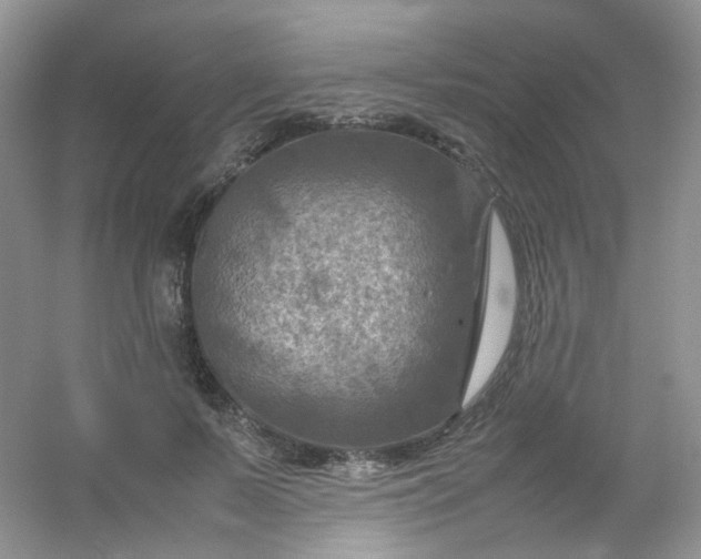 X0000054470695200508122004