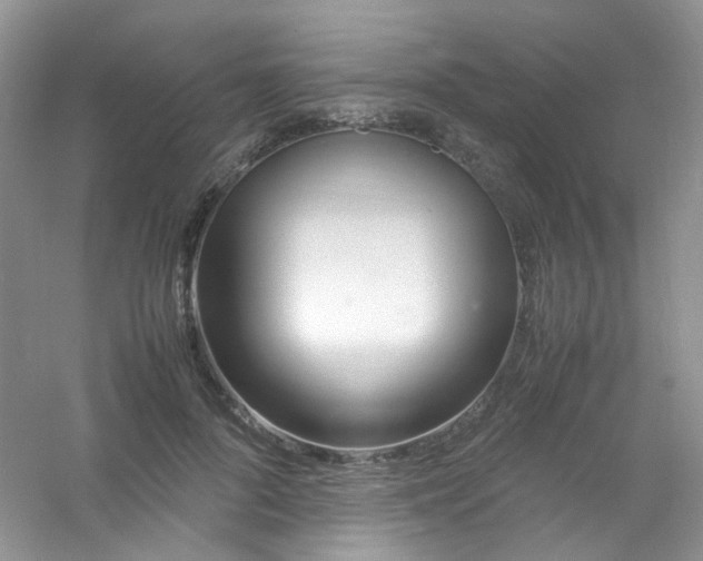 X0000054470696200508122004