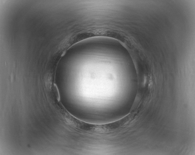 X0000054470697200508122004