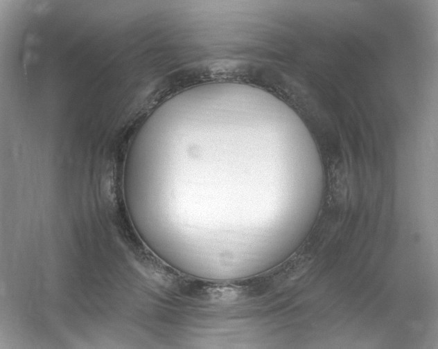 X0000054470698200508122004