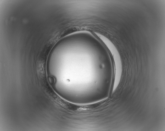 X0000054470699200508122004