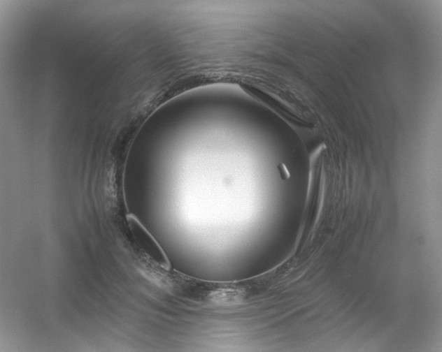 X0000054470700200508122004