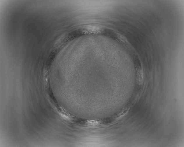 X0000054470701200508122004