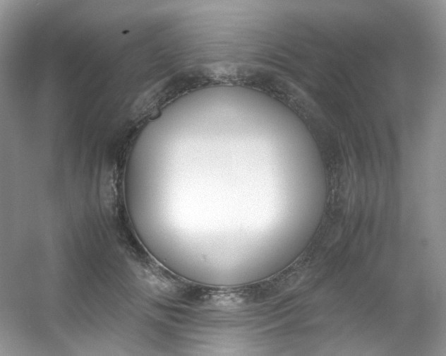 X0000054470702200508122004