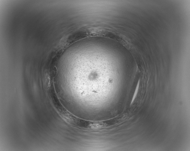 X0000054470703200508122004