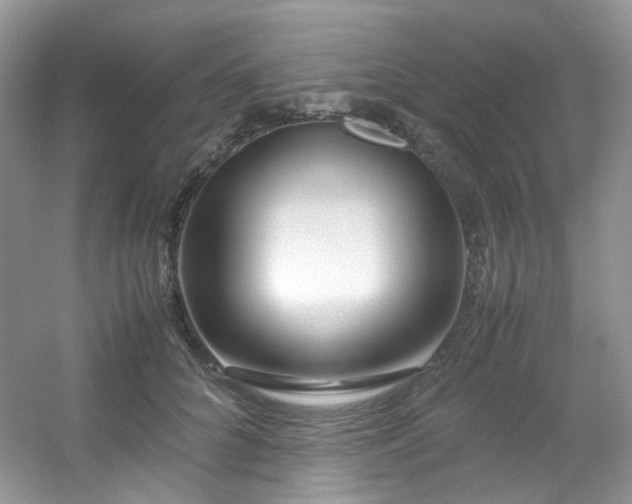 X0000054470704200508122004