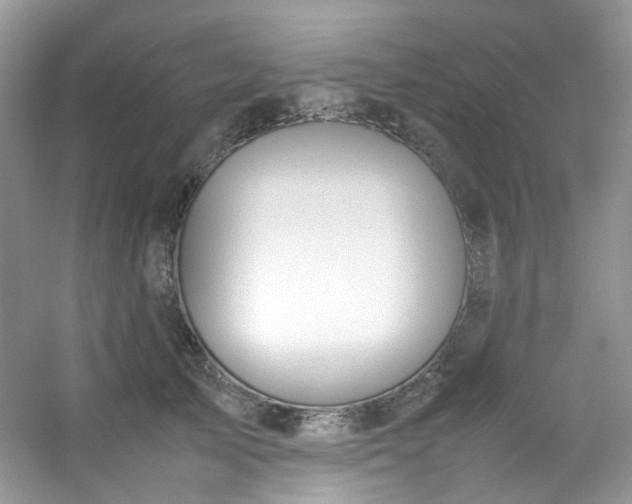 X0000054470705200508122003