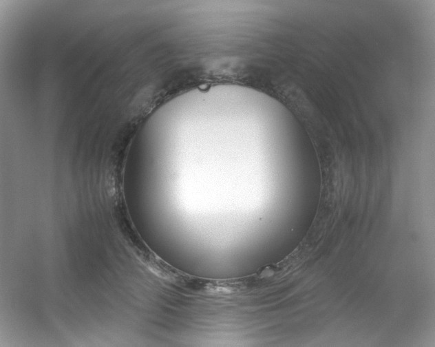 X0000054470706200508122003