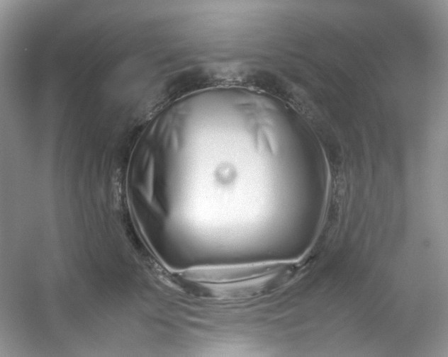 X0000054470707200508122003