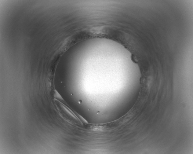 X0000054470710200508122003