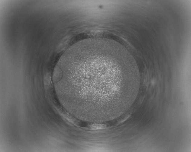 X0000054470711200508122003