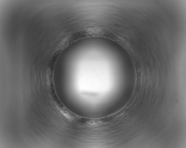 X0000054470712200508122003