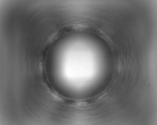 X0000054470716200508122003