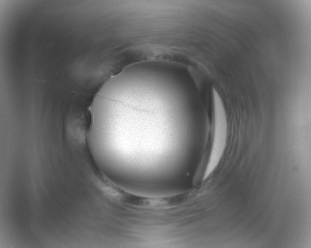 X0000054470719200508122003