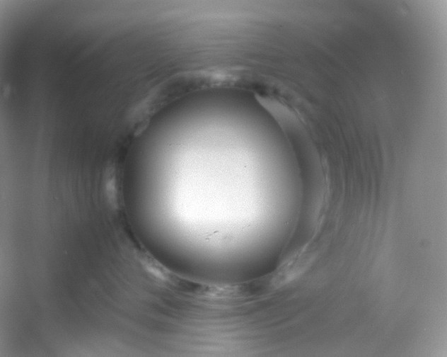 X0000054470720200508122003