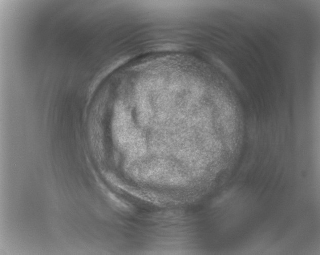 X0000054470721200508122002