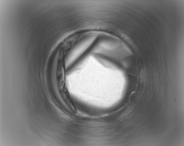 X0000054470722200508122002