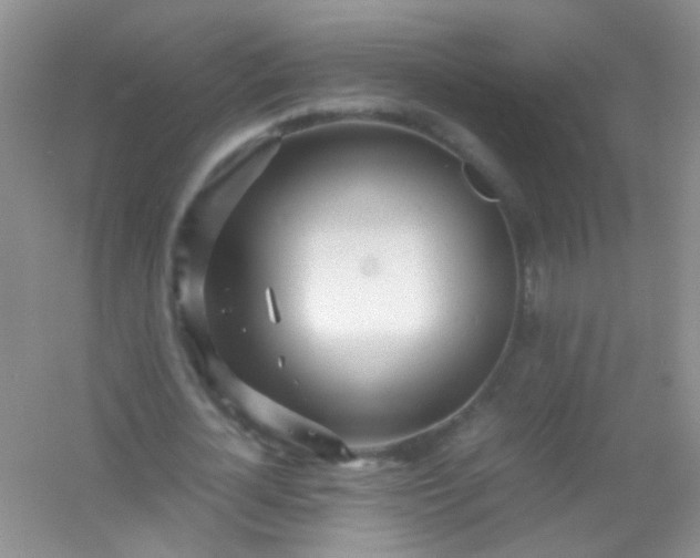 X0000054470724200508122002