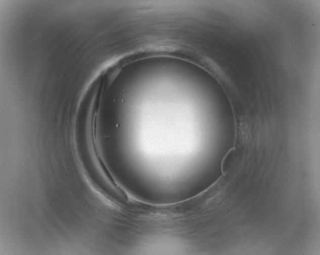 X0000054470726200508122002