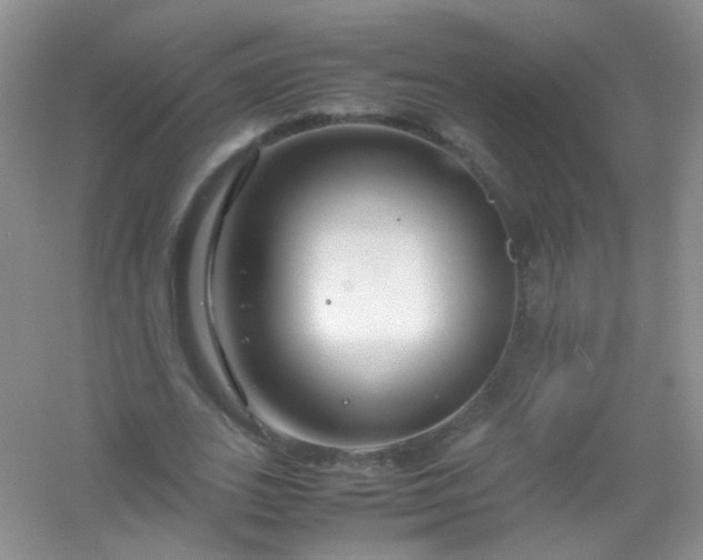 X0000054470727200508122003