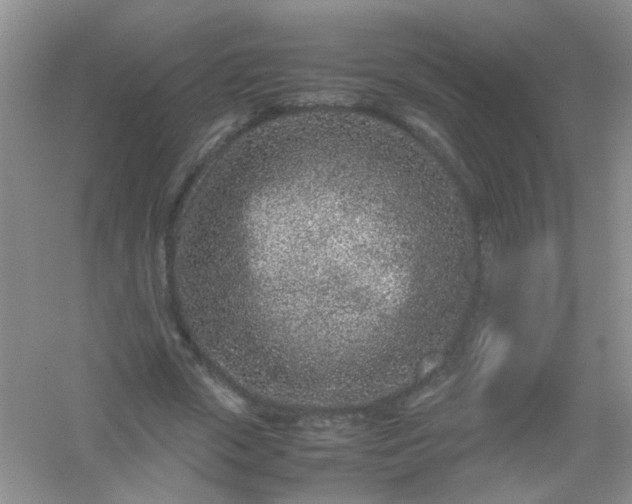 X0000054470729200508122003