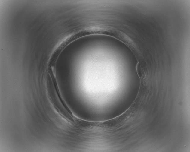 X0000054470732200508122003