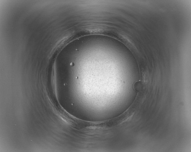 X0000054470733200508122003