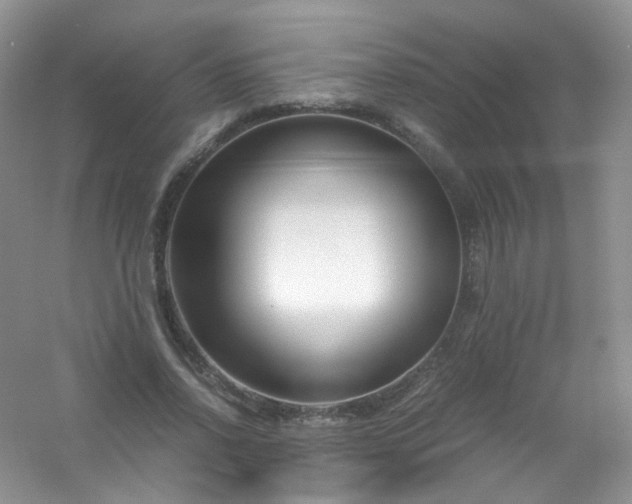 X0000054470734200508122003