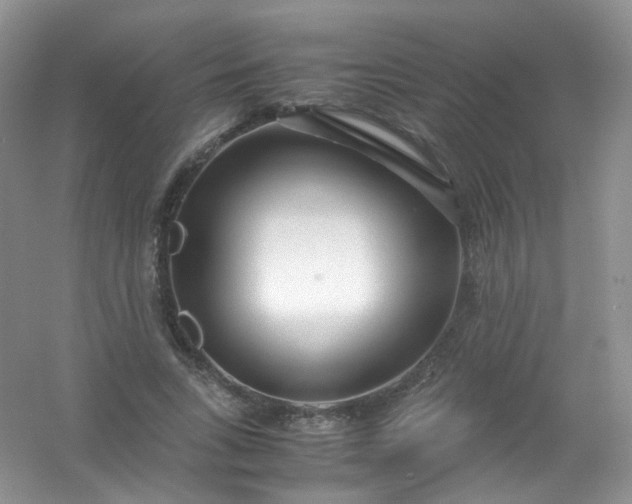 X0000054470735200508122003