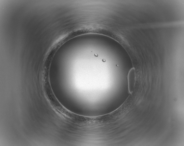 X0000054470736200508122003