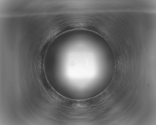 X0000054470739200508122003