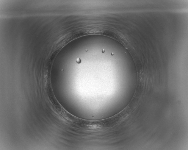 X0000054470741200508122003