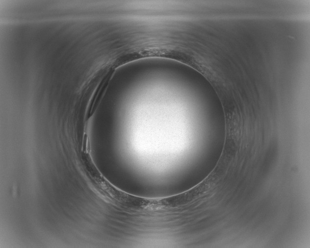 X0000054470742200508122003