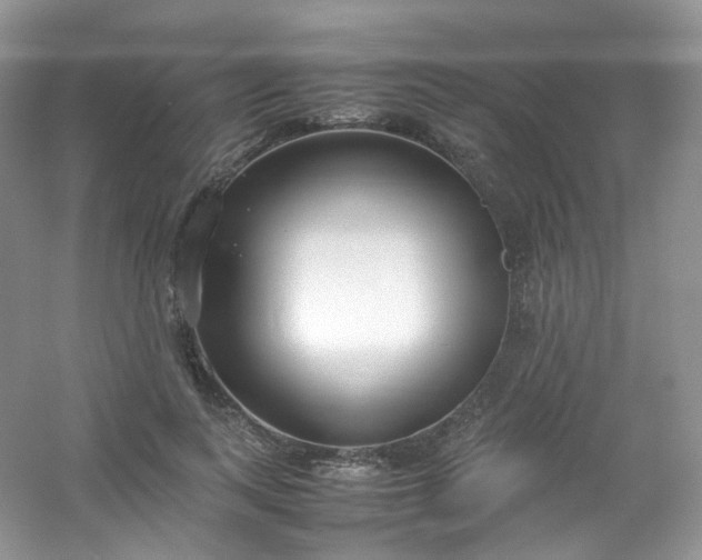 X0000054470743200508122003