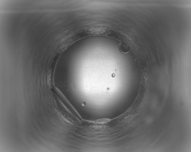 X0000054470745200508122003