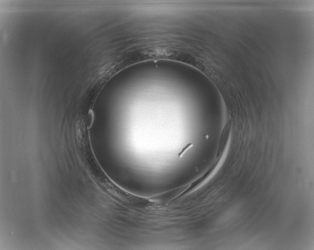 X0000054470747200508122003