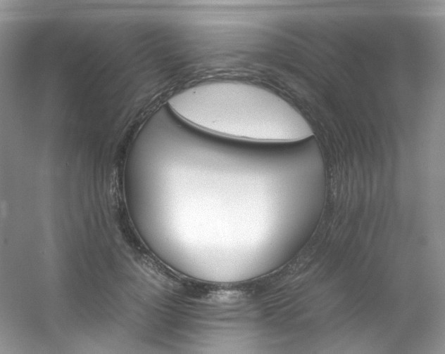 X0000054470748200508122003