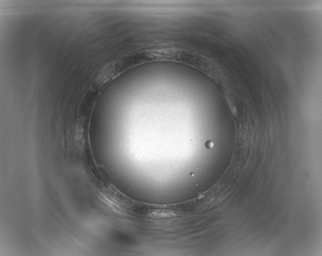 X0000054470749200508122003