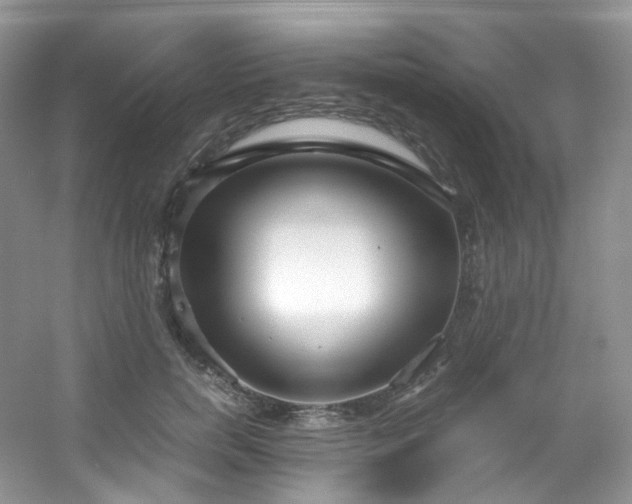 X0000054470750200508122003