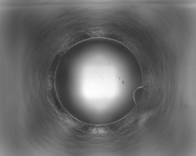 X0000054470751200508122003