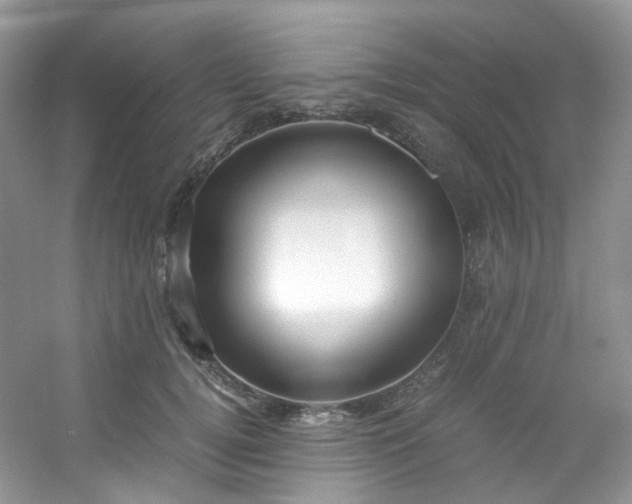 X0000054470752200508122003