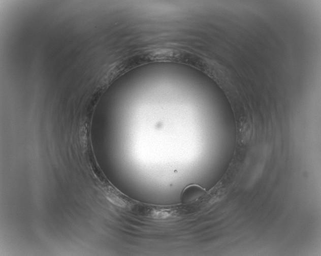 X0000054470753200508122003