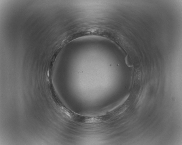 X0000054470754200508122003