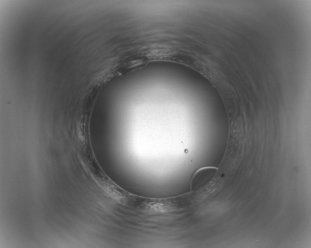 X0000054470755200508122003