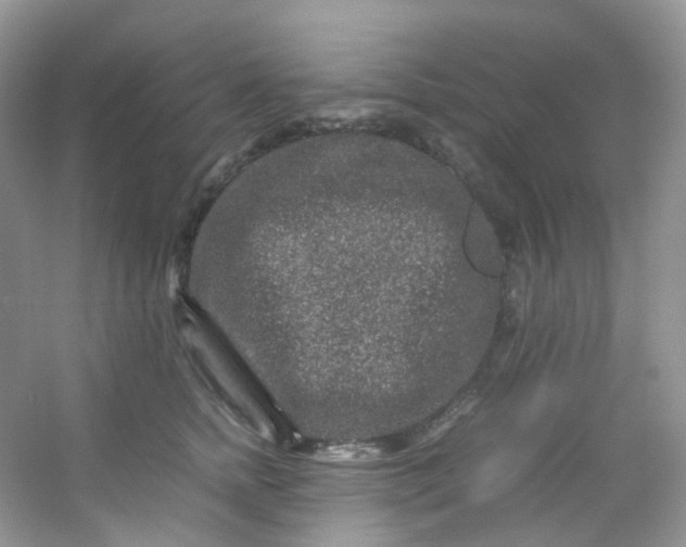 X0000054470758200508122003