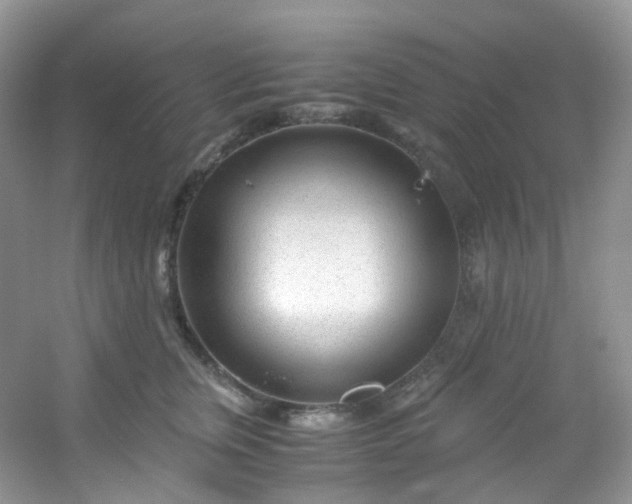 X0000054470759200508122003