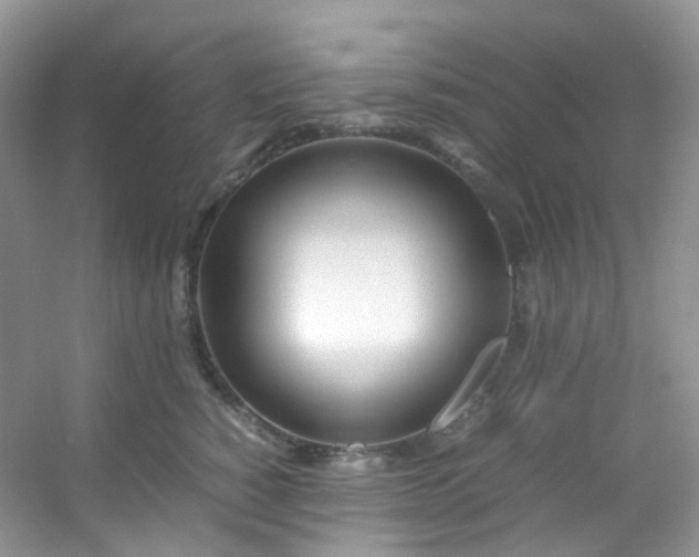 X0000054470760200508122003