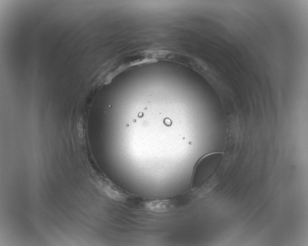 X0000054470761200508122003